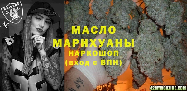 эйфоретик Гусь-Хрустальный
